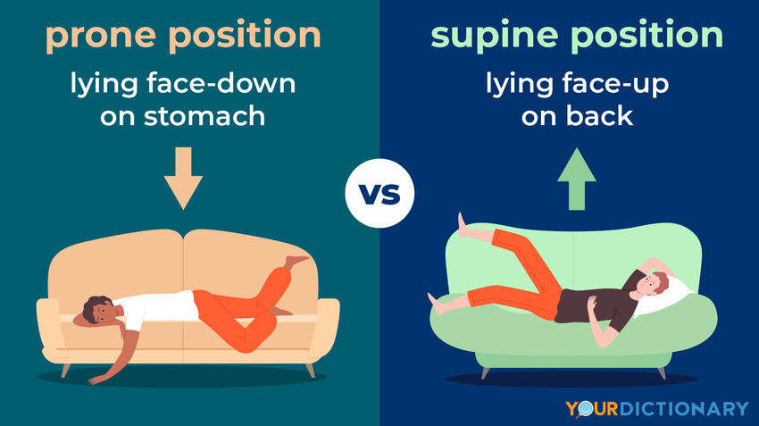 Prone Vs Supine The Simple Difference Yourdictionary