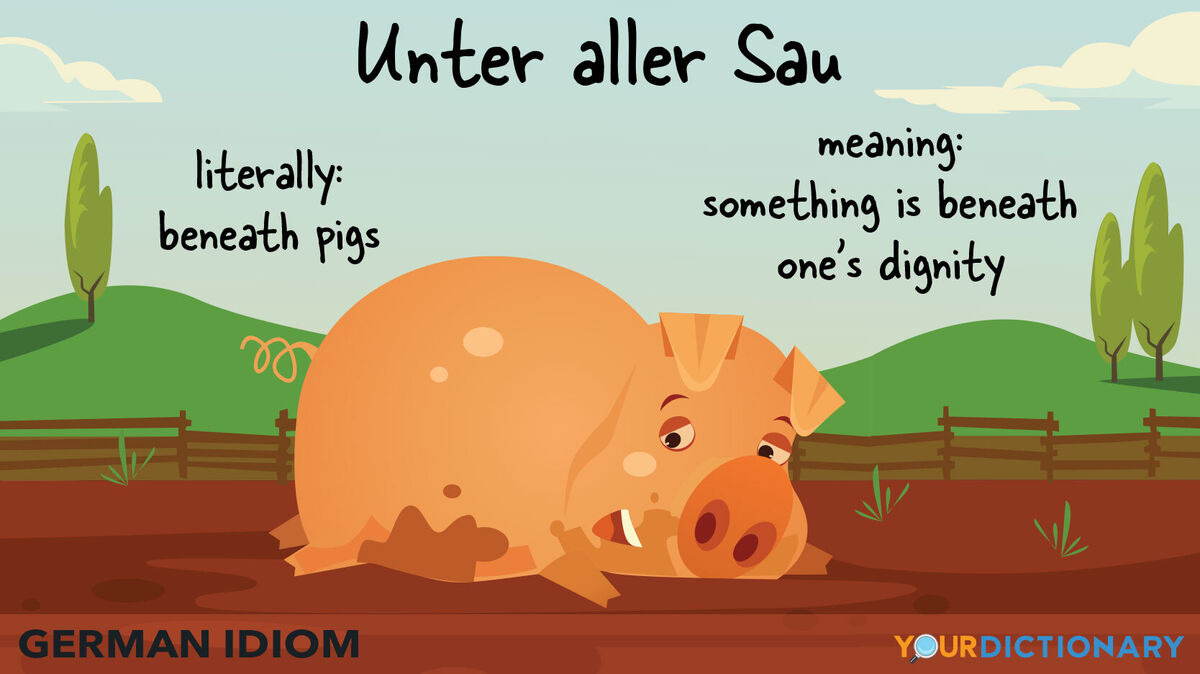 german idiom unter aller sau beneath pigs