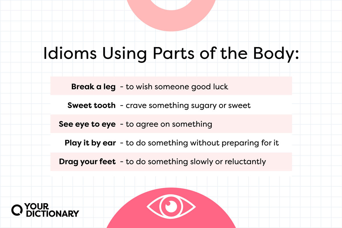 five idioms from the article that include body parts