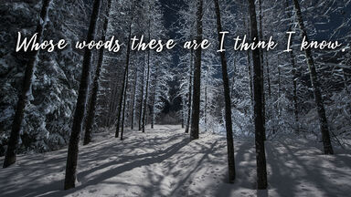 snowy wood poem Robert Frost