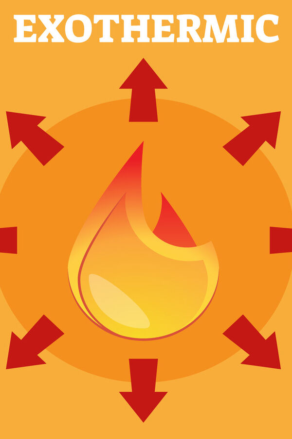 Exothermic Reaction Examples Found in Real Life YourDictionary