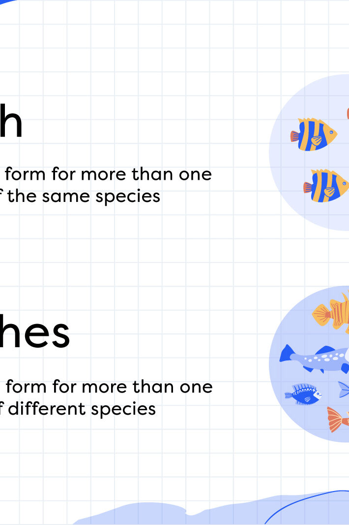 fish-vs-fishes-which-is-correct-yourdictionary