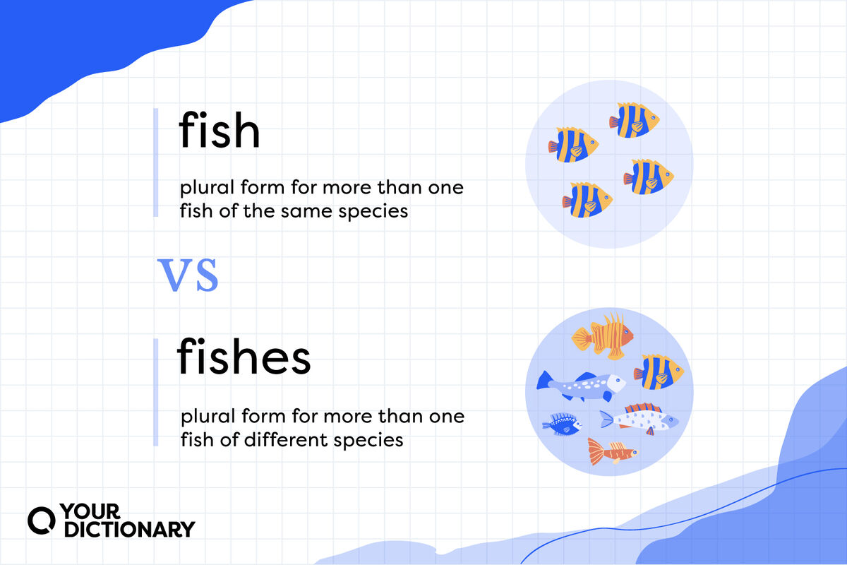 "Fish" meaning in its plural form and "fishes" meaning as detailed in article.