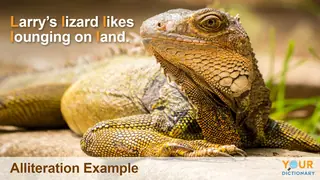 example of alliteration with lizard sentence