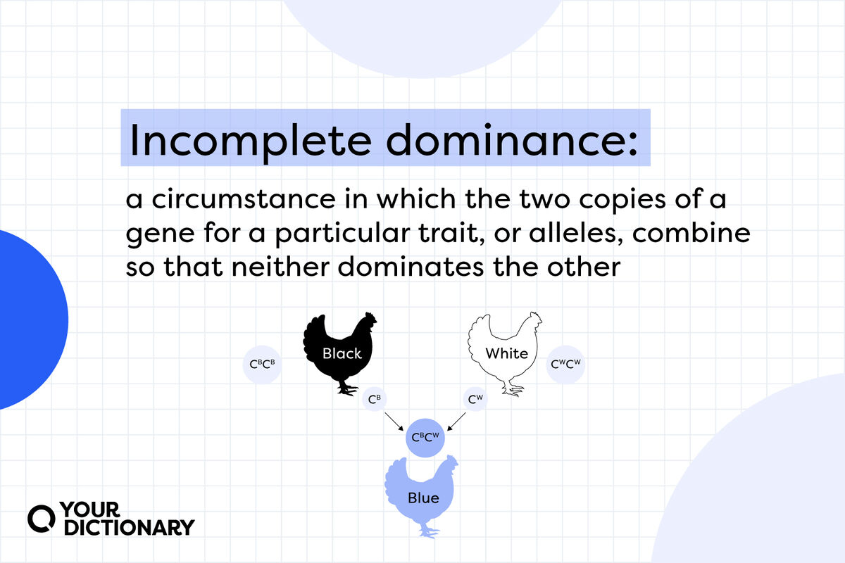 definition of incomplete dominance from the article