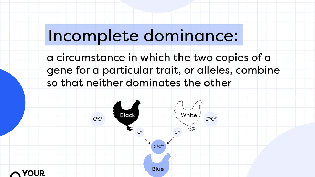 Examples of Incomplete Dominance | YourDictionary
