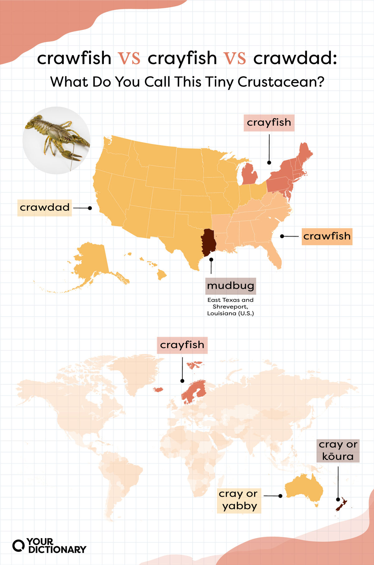 Map of the U.S. and the world that show regions that use each term: "crawfish," "crawdad," or "crayfish."