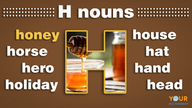 nouns that start with h