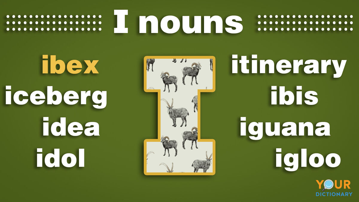 nouns that start with i