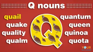 nouns that start with q
