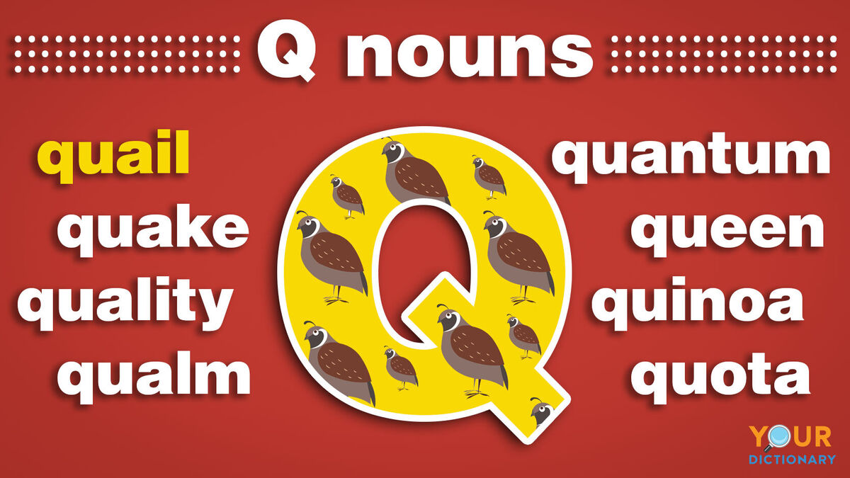 Nouns That Start With Q | YourDictionary
