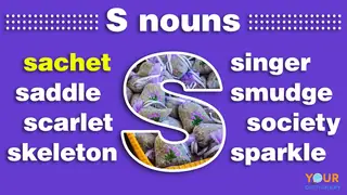 nouns that start with s