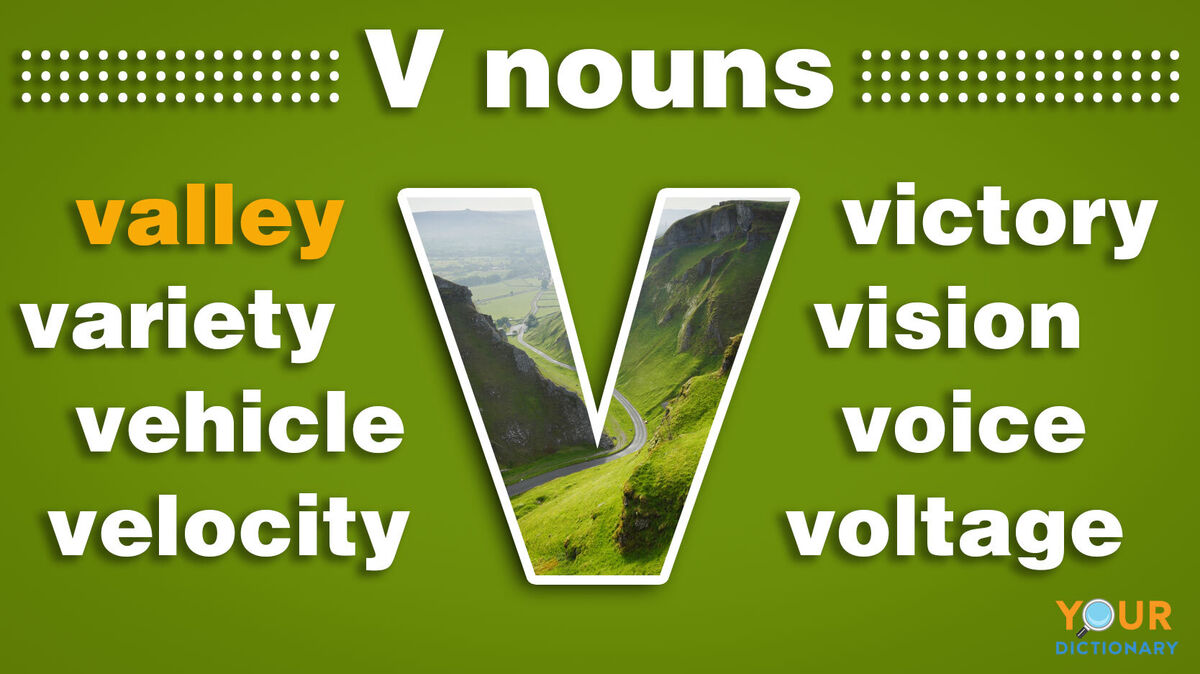 nouns that start with v