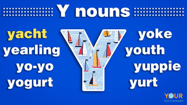 nouns that start with y