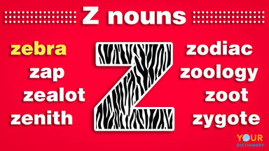 nouns that start with z