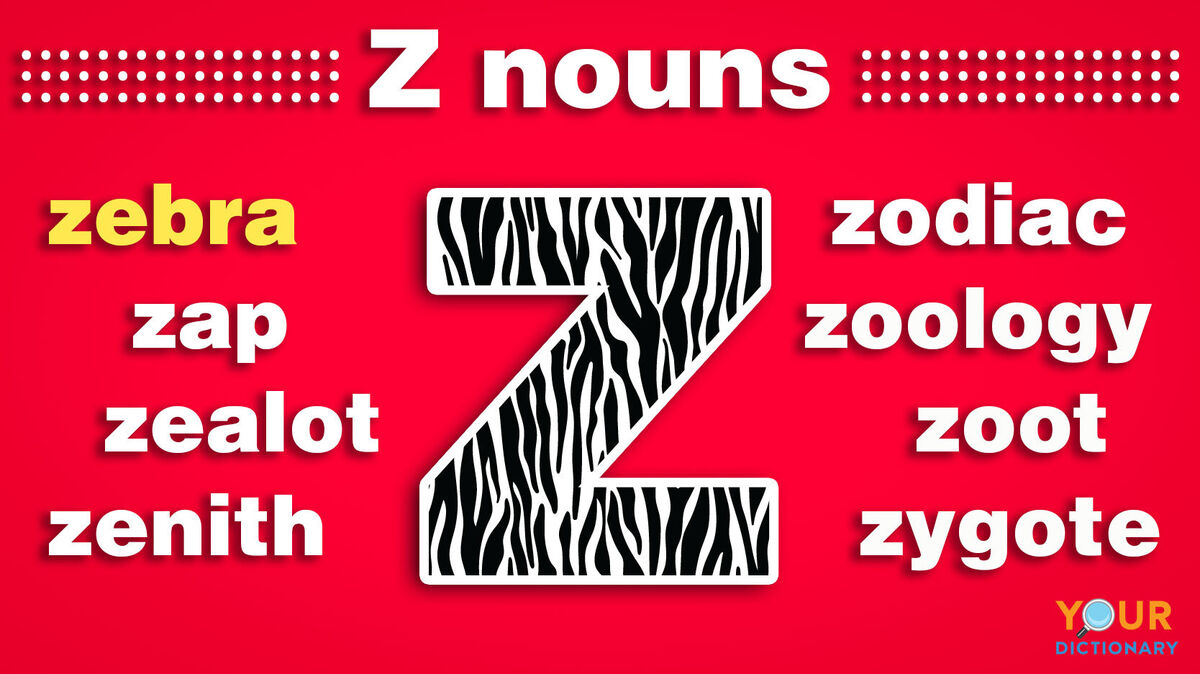 Nouns That Start With Z YourDictionary