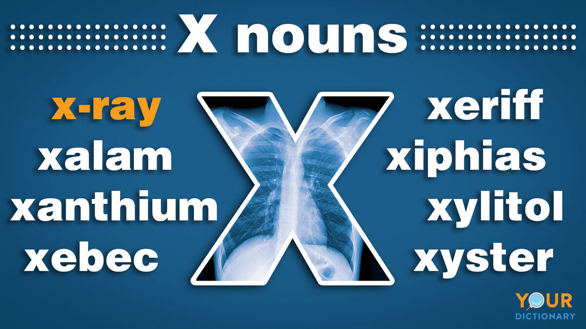 nouns that start with x