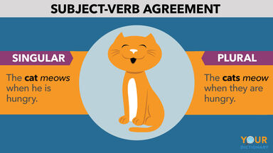 Rules Of Subject Verb Agreement Simply Explained