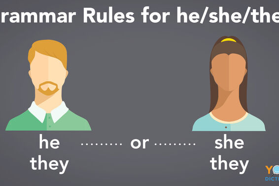 grammar rules for he/she/they