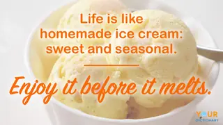 bowl of ice cream enjoy it before it melts funny quote