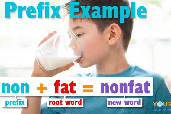 affix examples prefix non fat new word nonfat