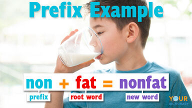 affix examples prefix non fat new word nonfat
