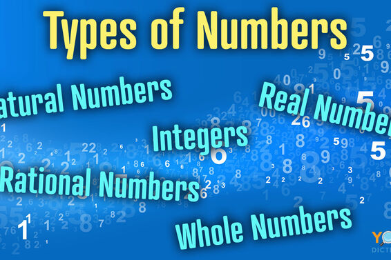 types of numbers integers rational natural real whole