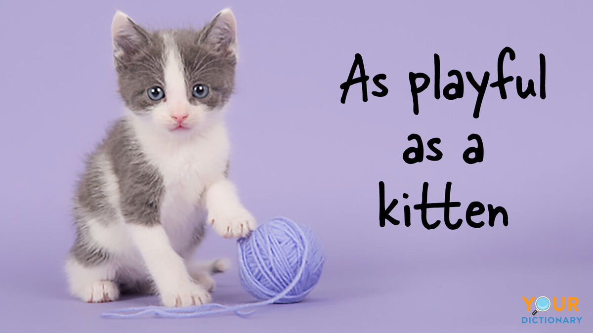 Simile Definition For Kids