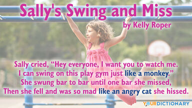 simile poem sally's swing and miss