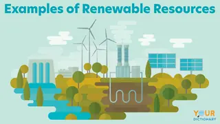 Examples of Renewable Resources