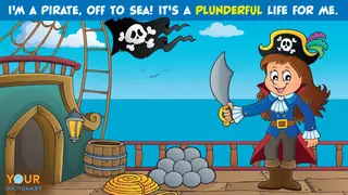 pirate pun plunderful life