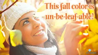 fall pun un-be-leaf-able