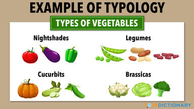 example of typology types of vegetables