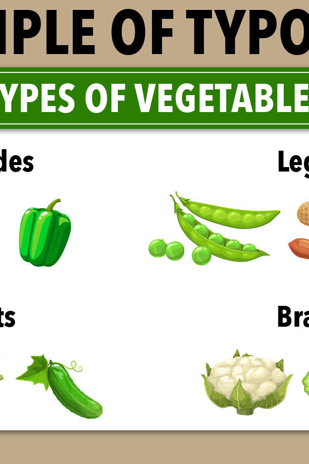 Examples Of Typology