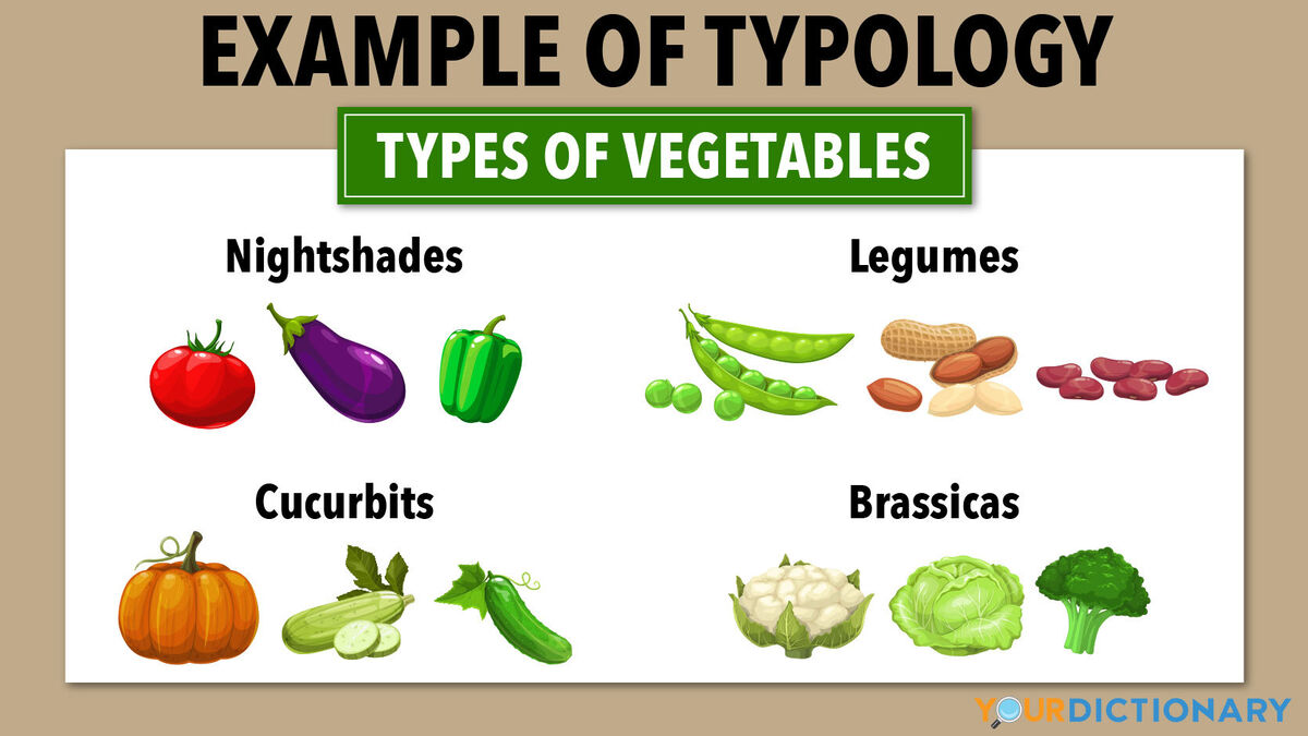 Examples of Typology: Definition and Use Across Different 