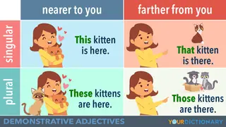 Demonstrative Adjective Examples