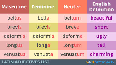 Latin adjectives Examples