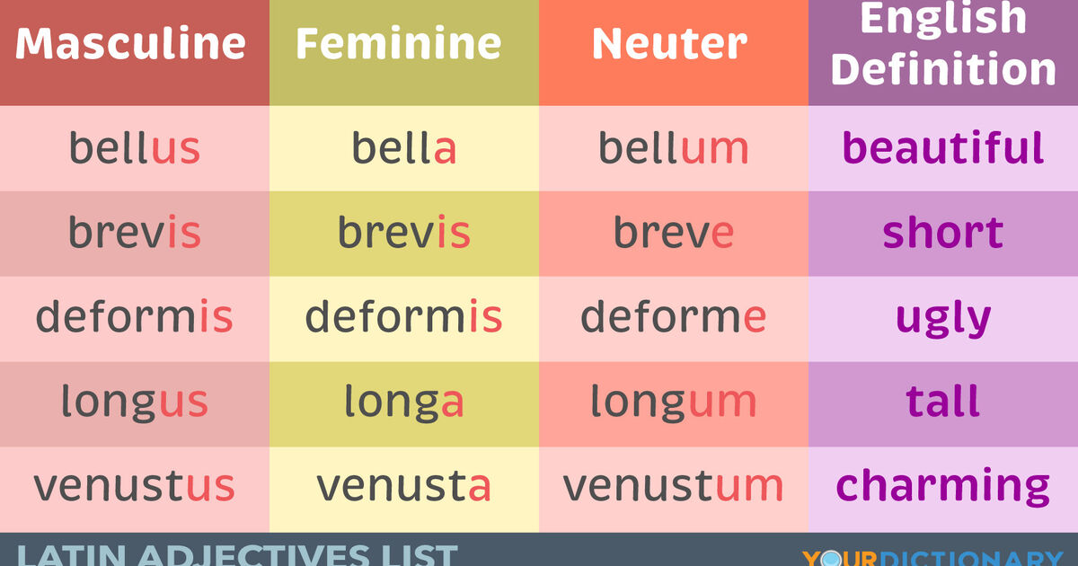Latin Adjectives List To Learn The Basics YourDictionary