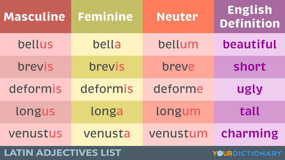 Latin Adjectives List To Learn The