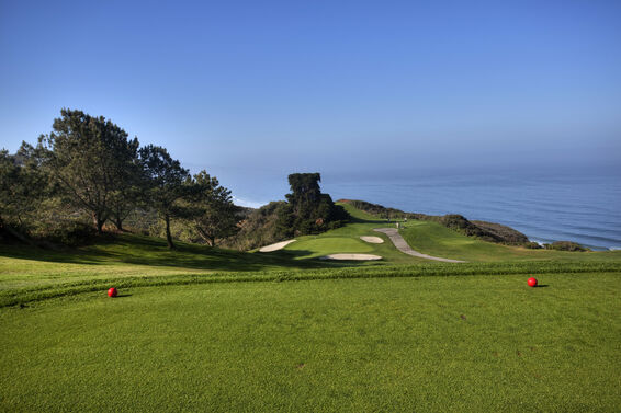 View from San Diego's Torrey Pines Golf Course