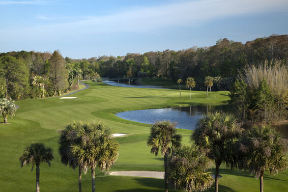 Beautiful Orlando golf course