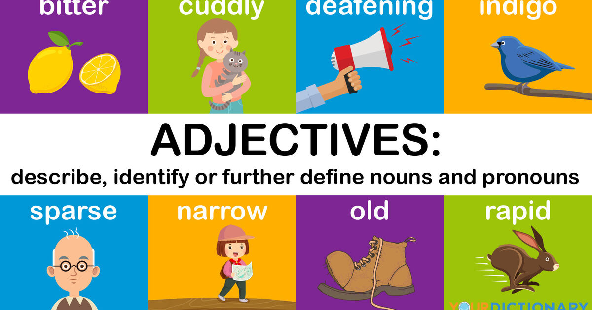 Examples of Adjectives and How to Use Them | YourDictionary