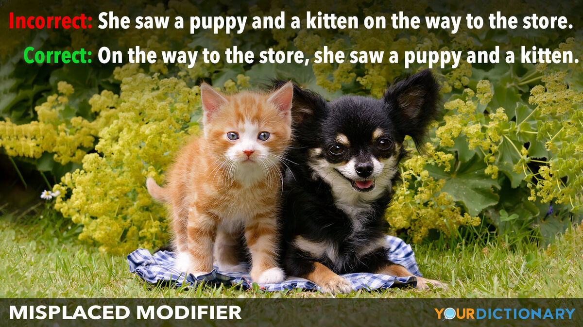 Examples Of Misplaced Modifiers YourDictionary