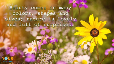 Flower Quotes Example