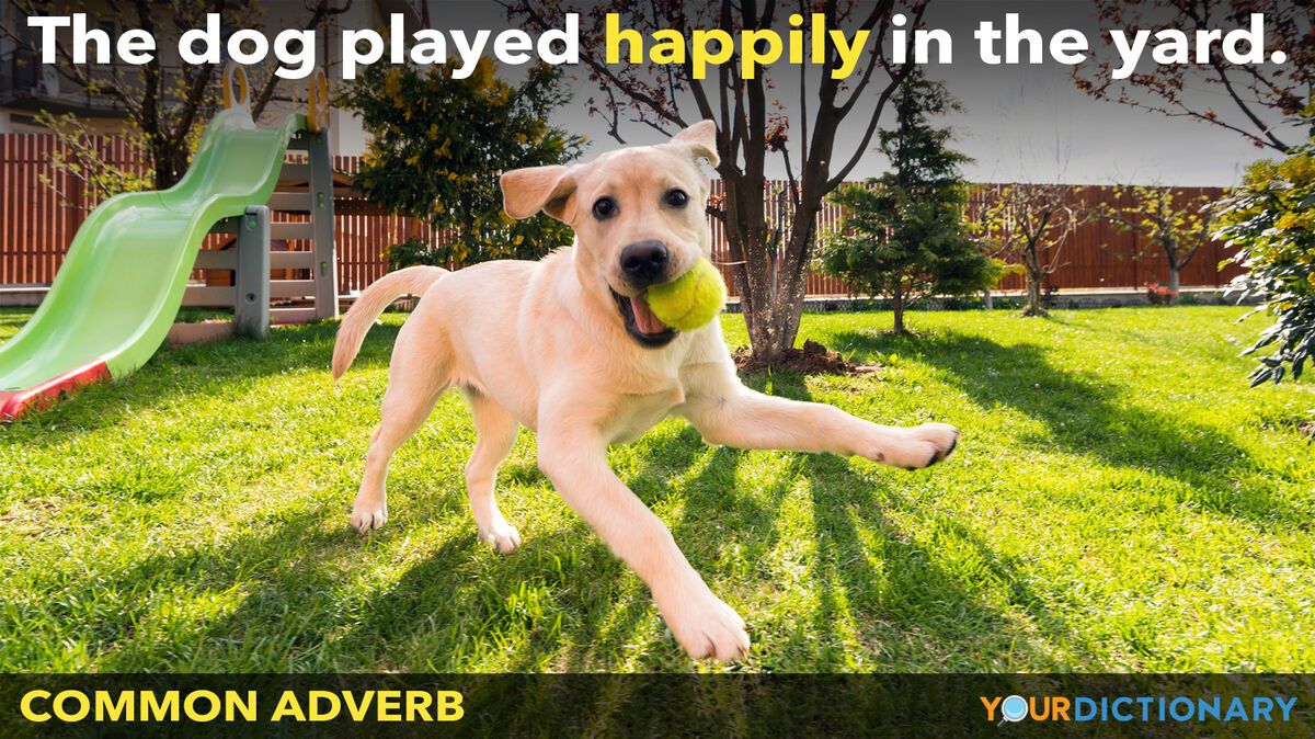 common adverb dog played happily