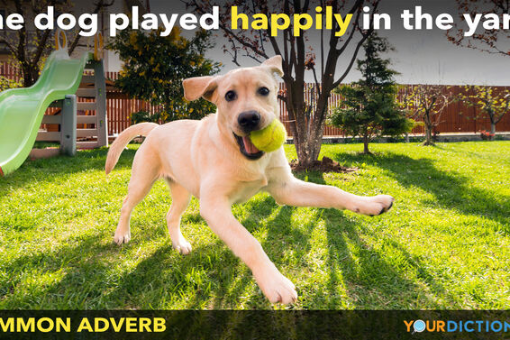 common adverb dog played happily
