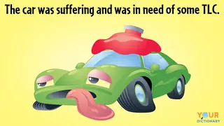 Suffering green car needing TLC