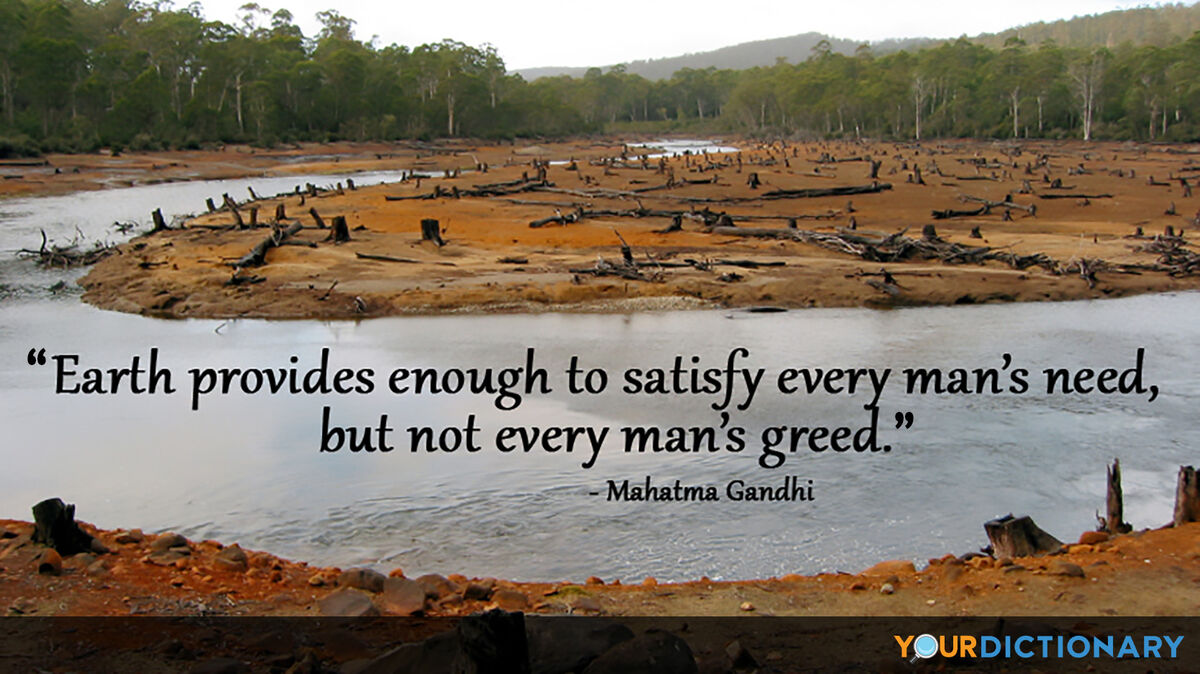 mahatma gandhi quote environment