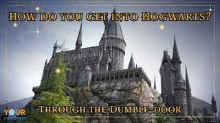 Harry Potter Puns Hogwarts