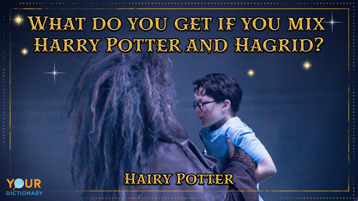 Harry Potter Puns Hagrid